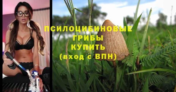 apvp Алексеевка