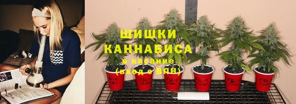 apvp Алексеевка